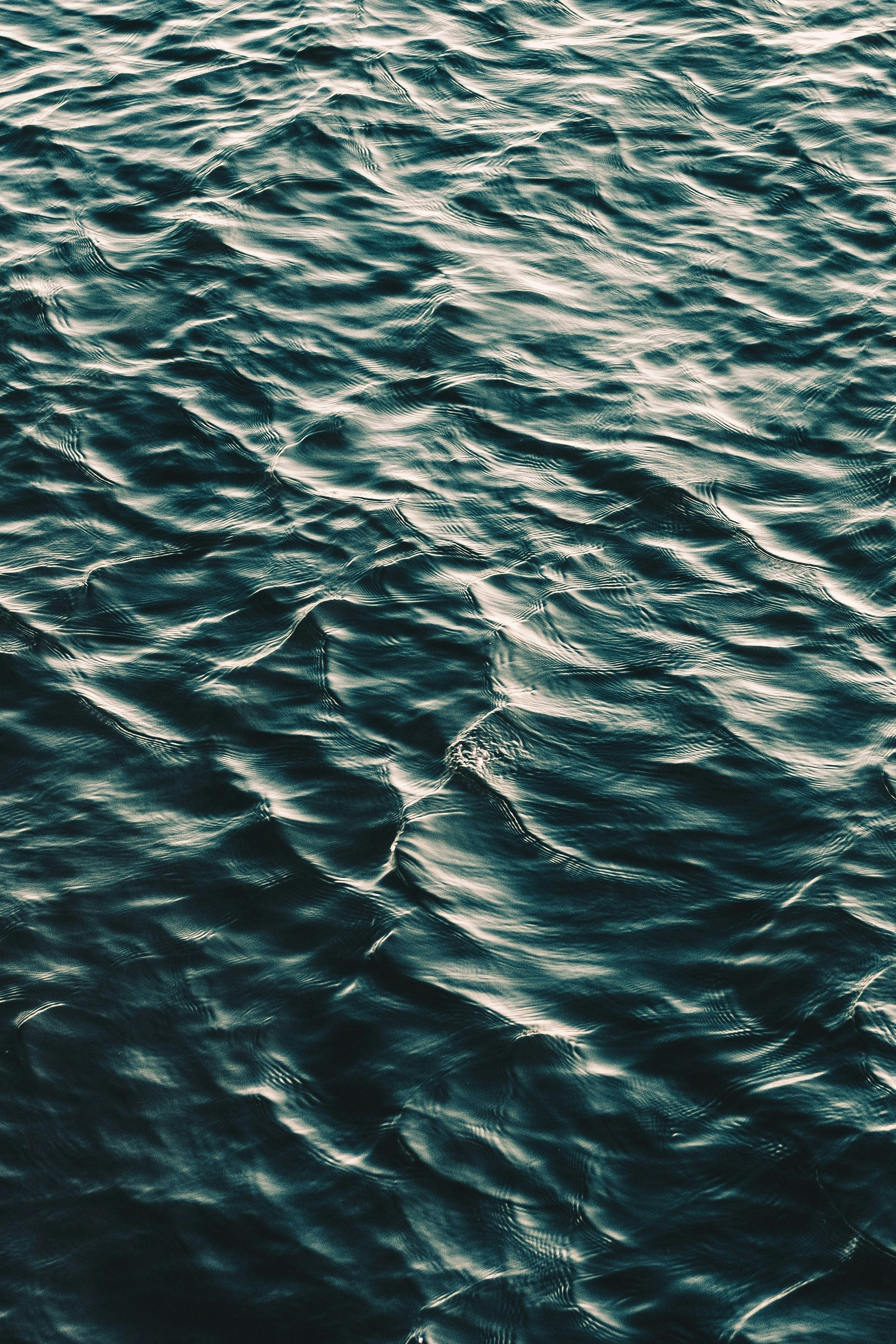 The Foundation of Energy and Hydration: Electrolytes