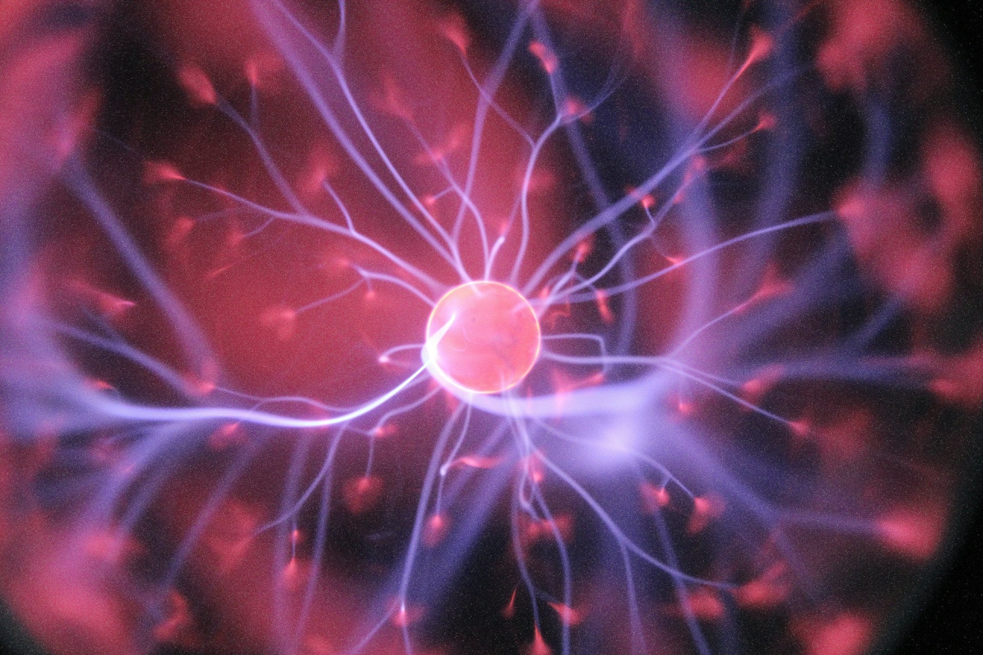 What does "Bioenergetics" mean?
