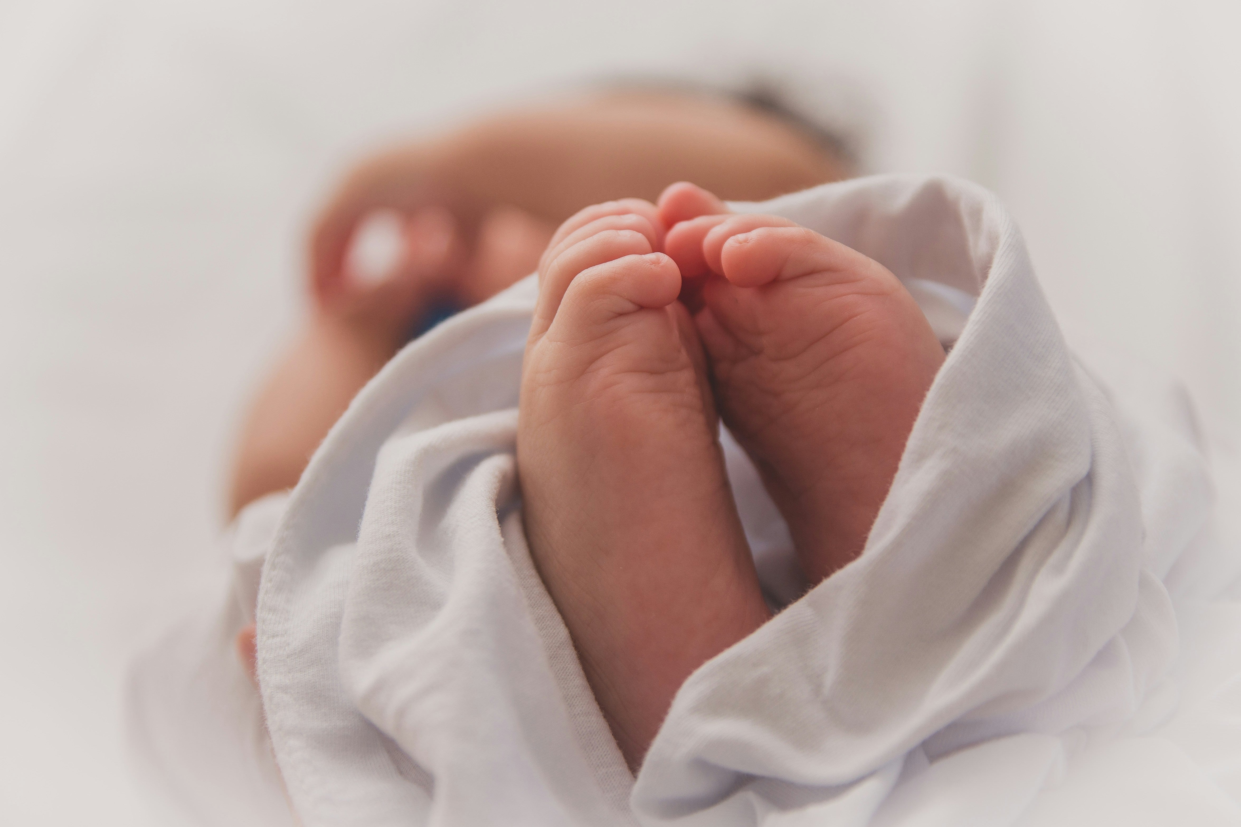 Unlocking Fertility Potential with Creatine
