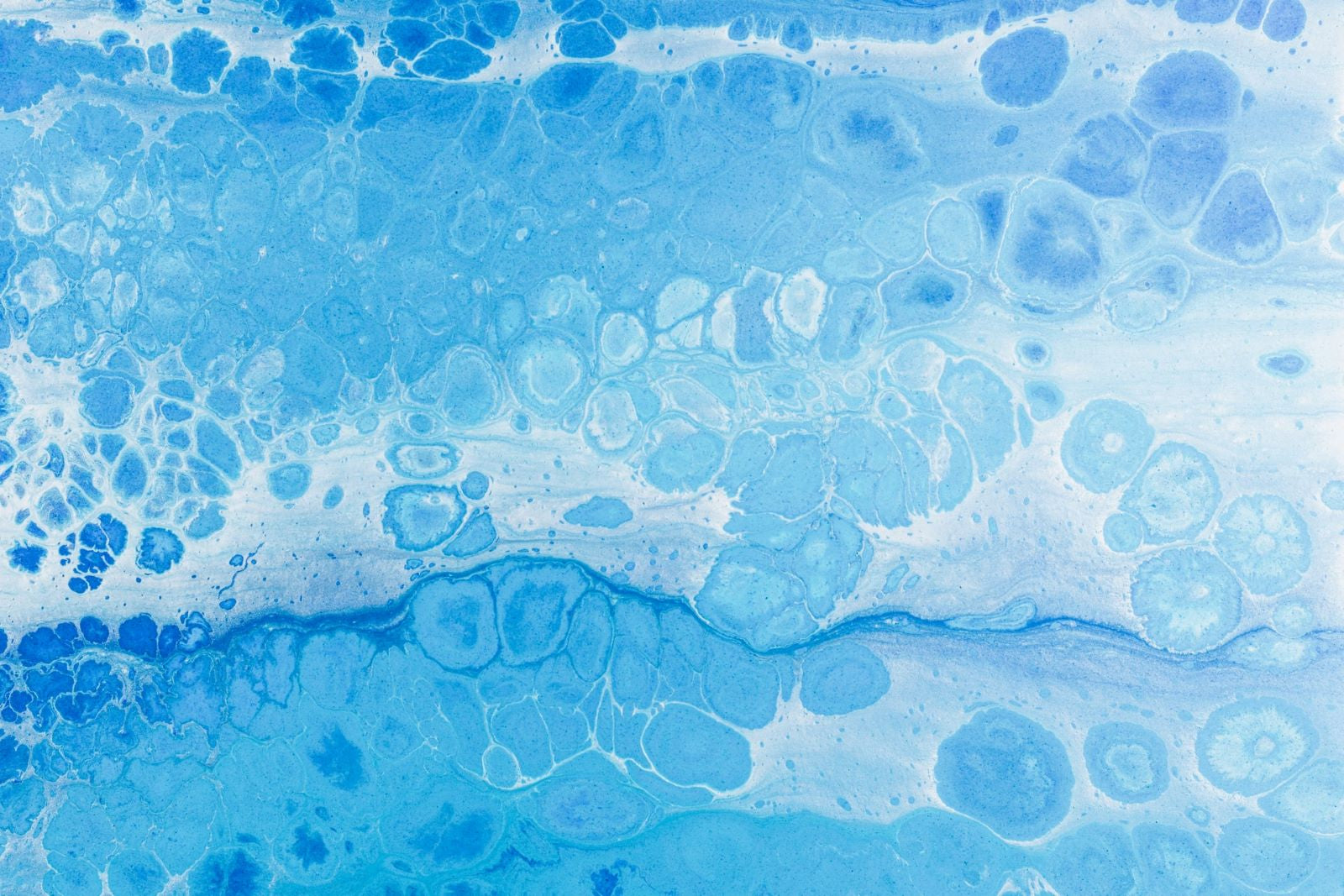 Magnesium & Heavy Metal Chelation