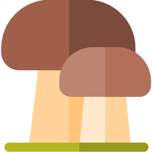 mushroom_1147646