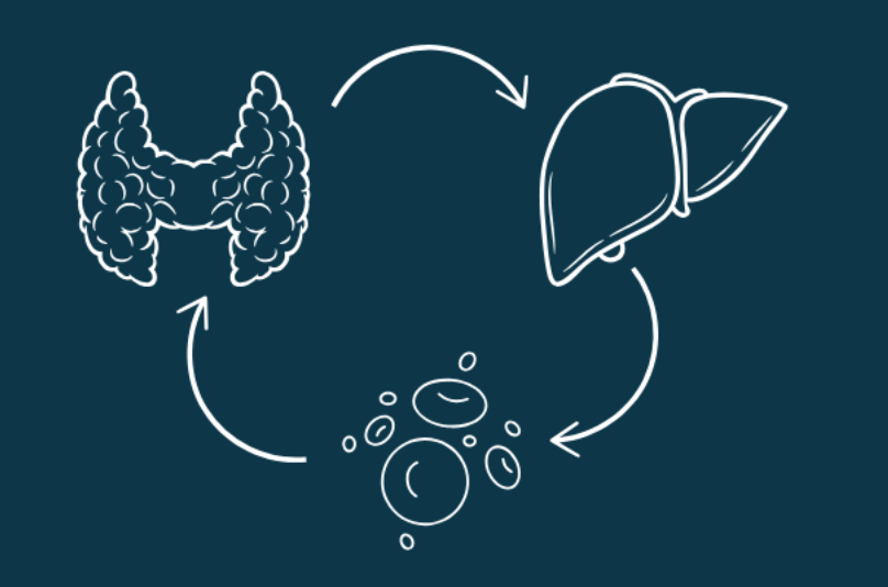 Spring Clean Your Liver