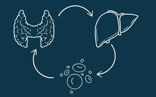 Spring Clean Your Liver