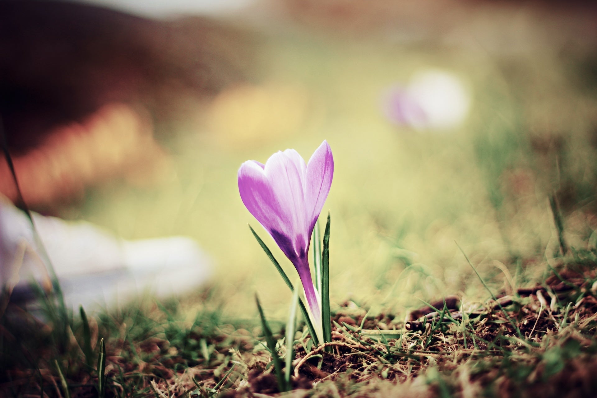 Understanding Common Fertility Challenges: Foundational Strategies to Support Reproductive Health Naturally