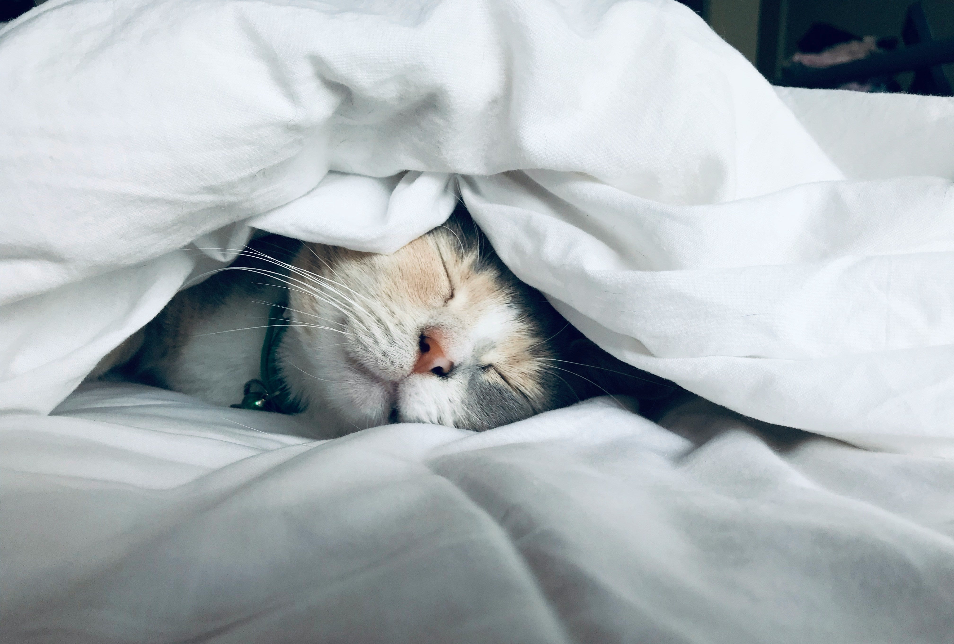 Why Sleep Should Be Your First Health Priority