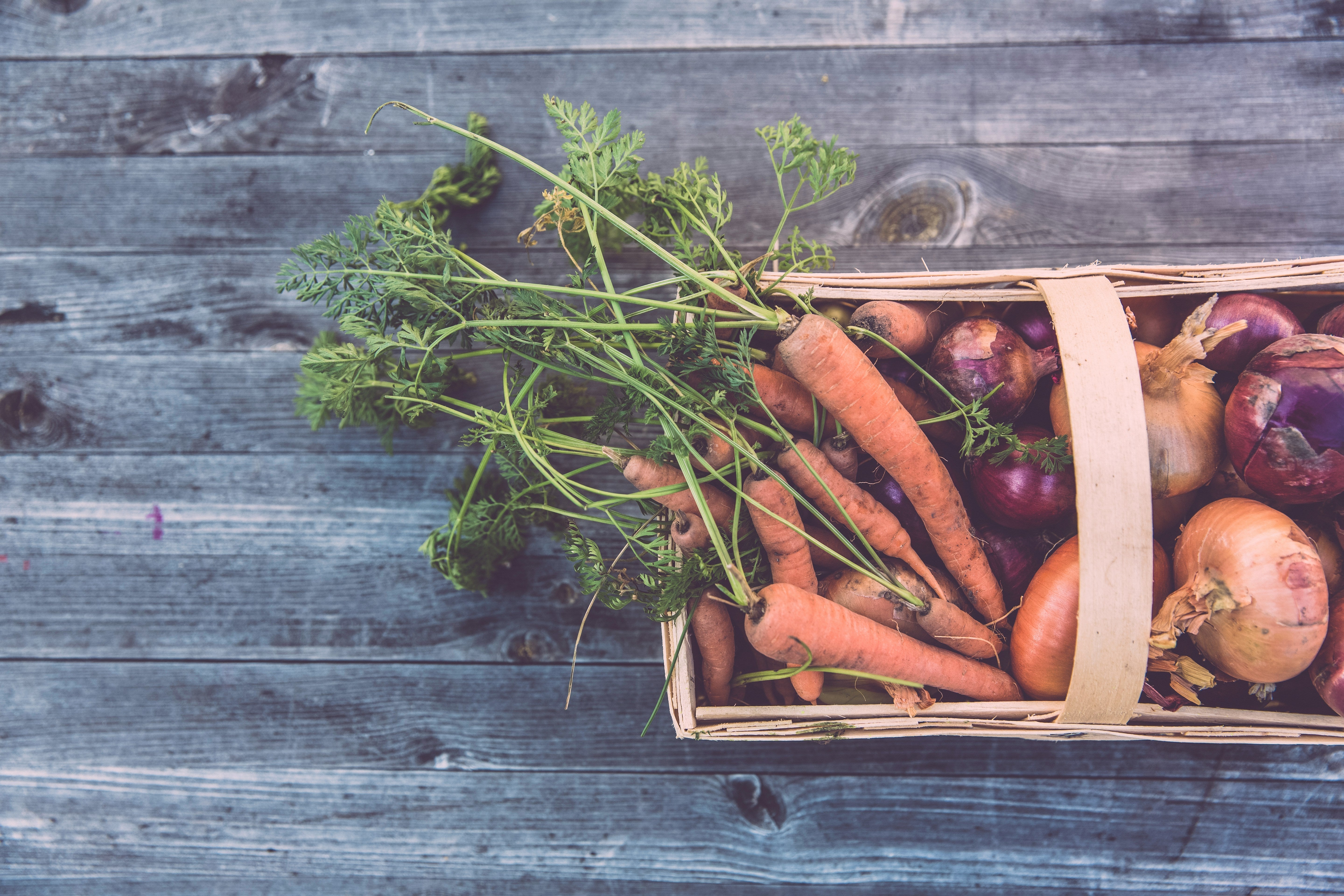 Eating with the Seasons: The Power of Local and Seasonal Foods