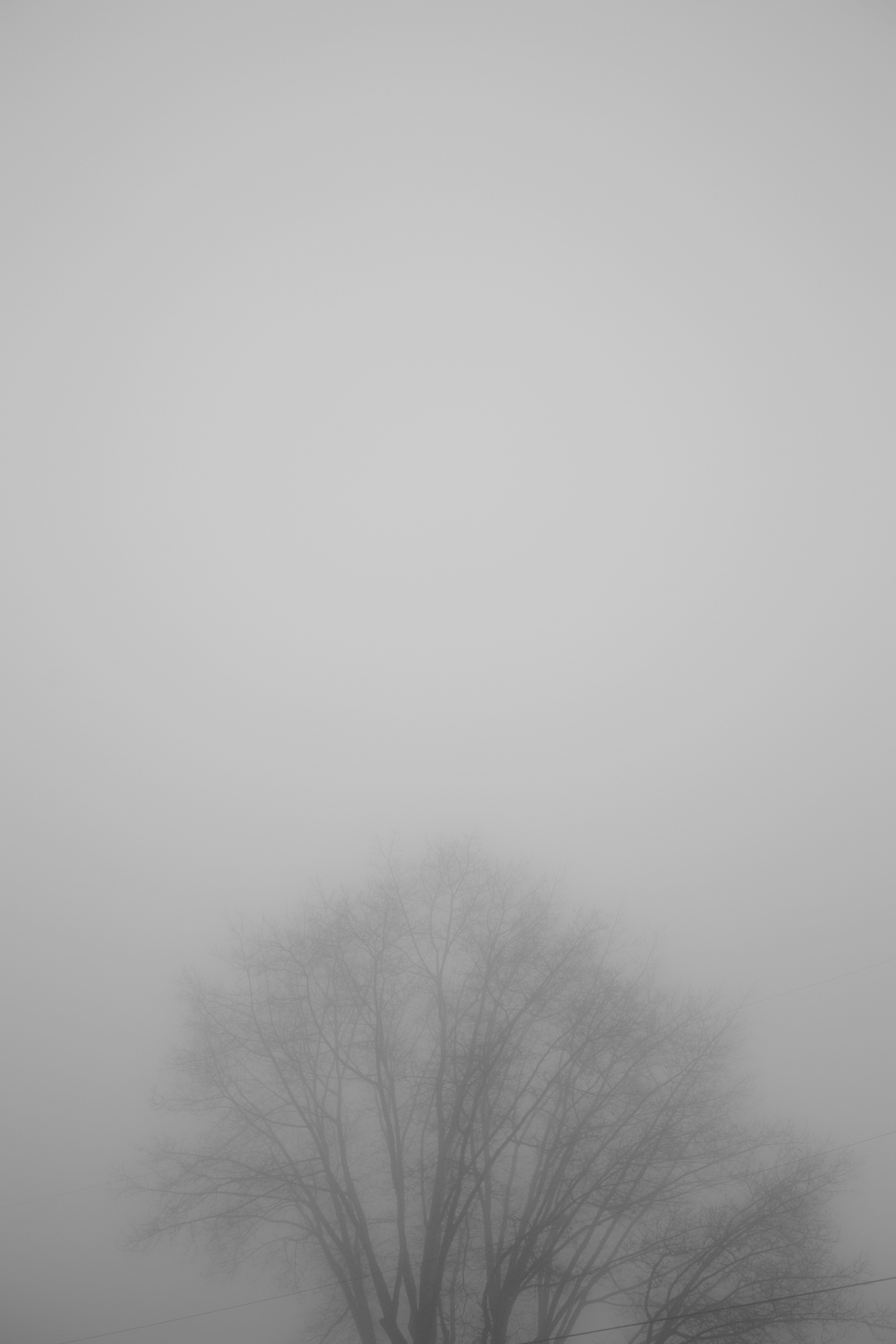 How To Beat Brain Fog