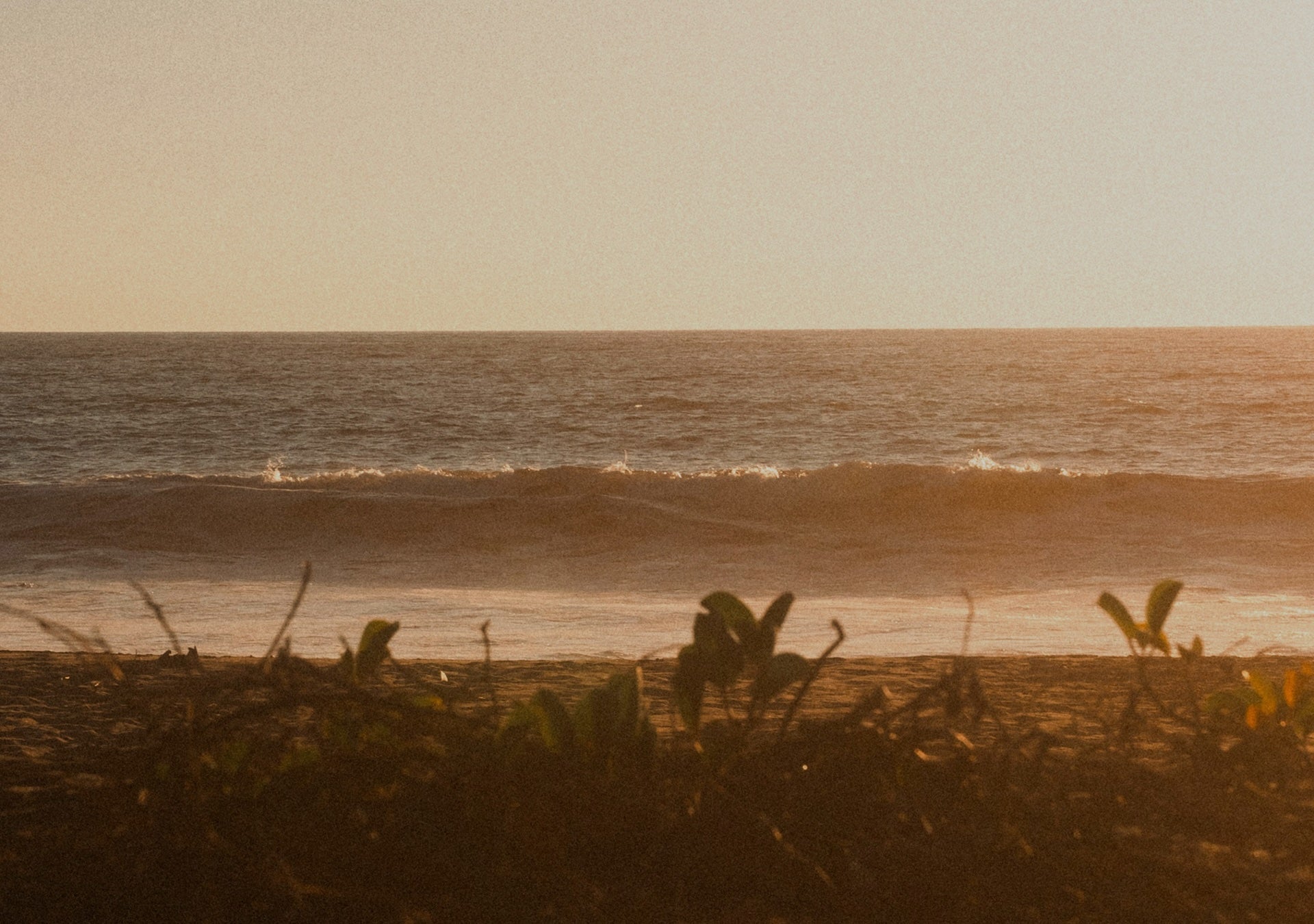 Vitamin K as a Metabolic Regulator: Calcium Handling, Thyroid Protection, and Hormonal Stability