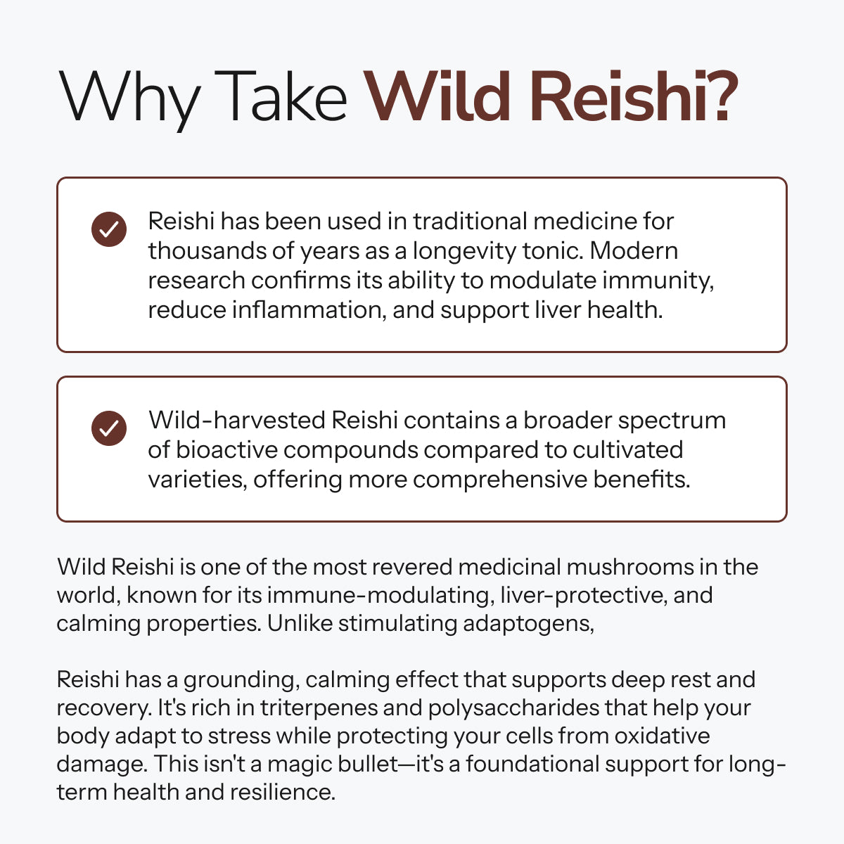 Wild Reishi