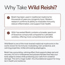 Wild Reishi