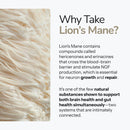 Lion's Mane - Alcohol Free