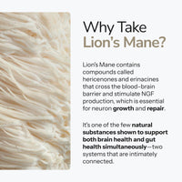 Lion's Mane - Alcohol Free