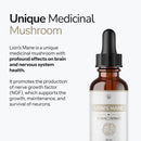 Lion's Mane - Alcohol Free