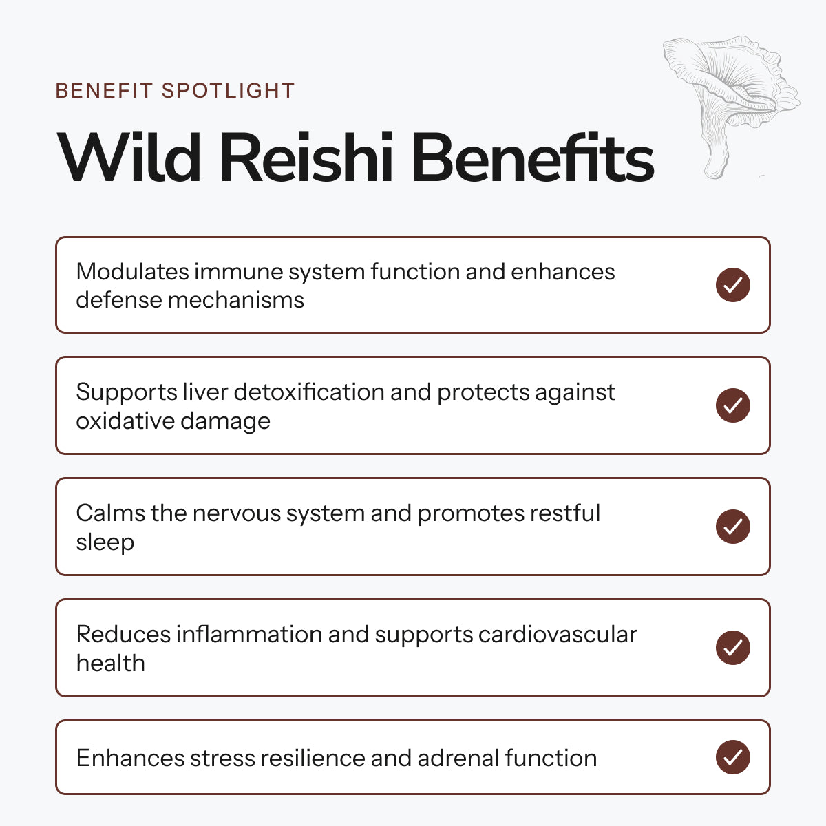 Wild Reishi - Alcohol Free