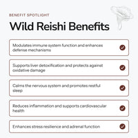 Wild Reishi - Alcohol Free