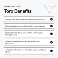Toro