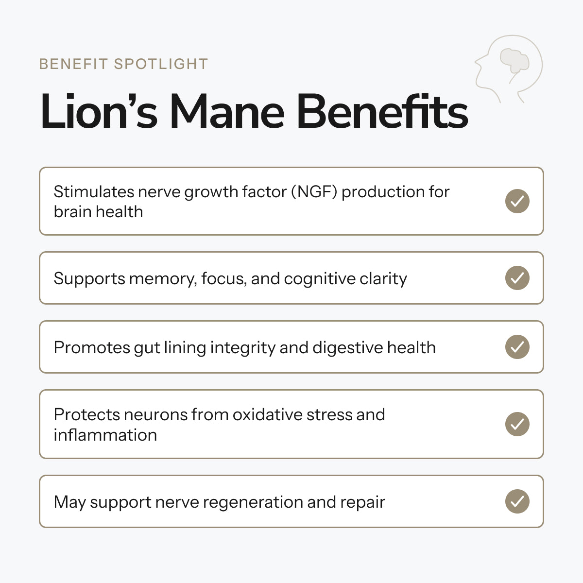 Lion's Mane - Alcohol Free