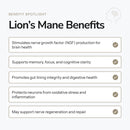 Lion's Mane - Alcohol Free