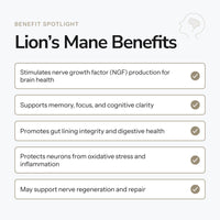 Lion's Mane - Alcohol Free