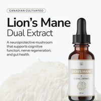 Lion's Mane - Alcohol Free