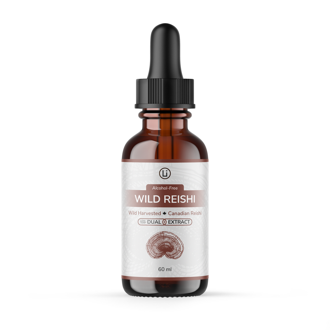 Wild Reishi - Alcohol Free