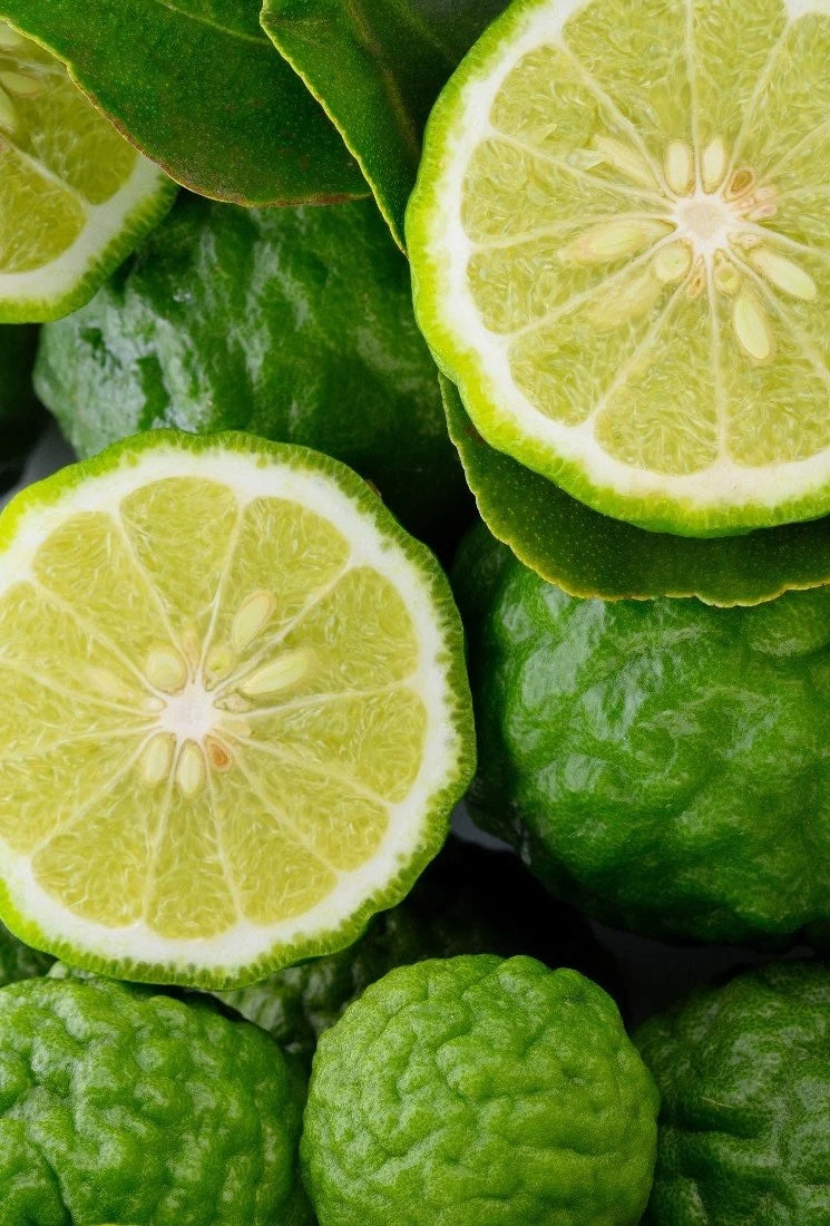 Bergamot