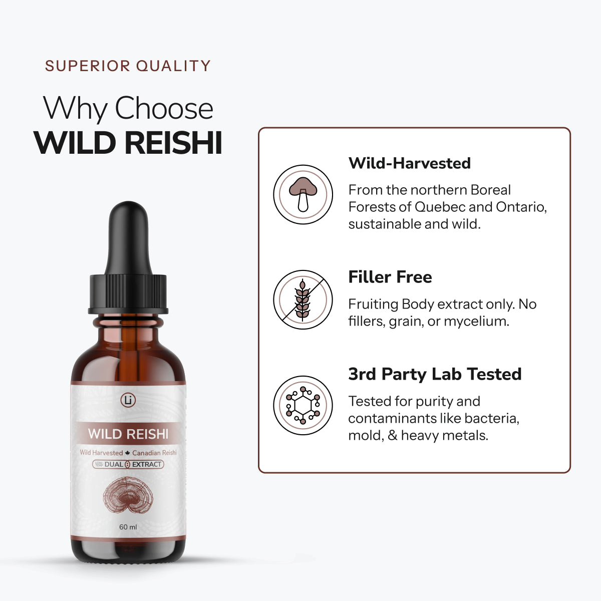 Wild Reishi - Alcohol Free