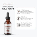 Wild Reishi - Alcohol Free