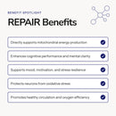 Repair (MB)