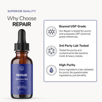 Repair (MB)